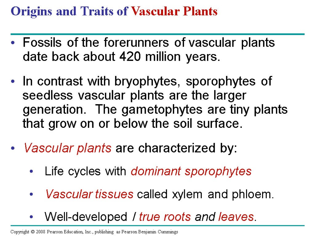 Origins and Traits of Vascular Plants Fossils of the forerunners of vascular plants date